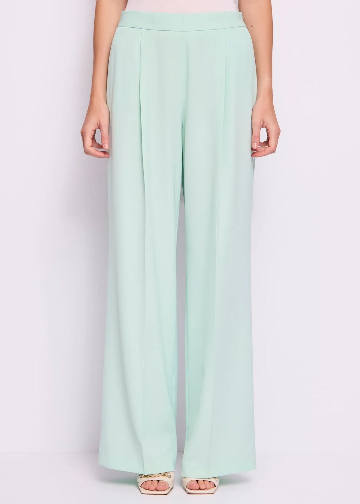 Pantaloni con pinces GAUDì ART.5111FD25027