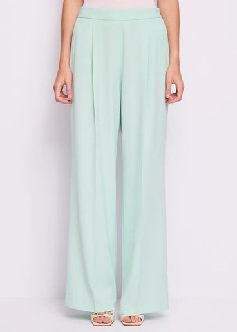 Pantaloni con pinces GAUDì ART.5111FD25027