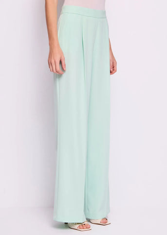 Pantaloni con pinces GAUDì ART.5111FD25027